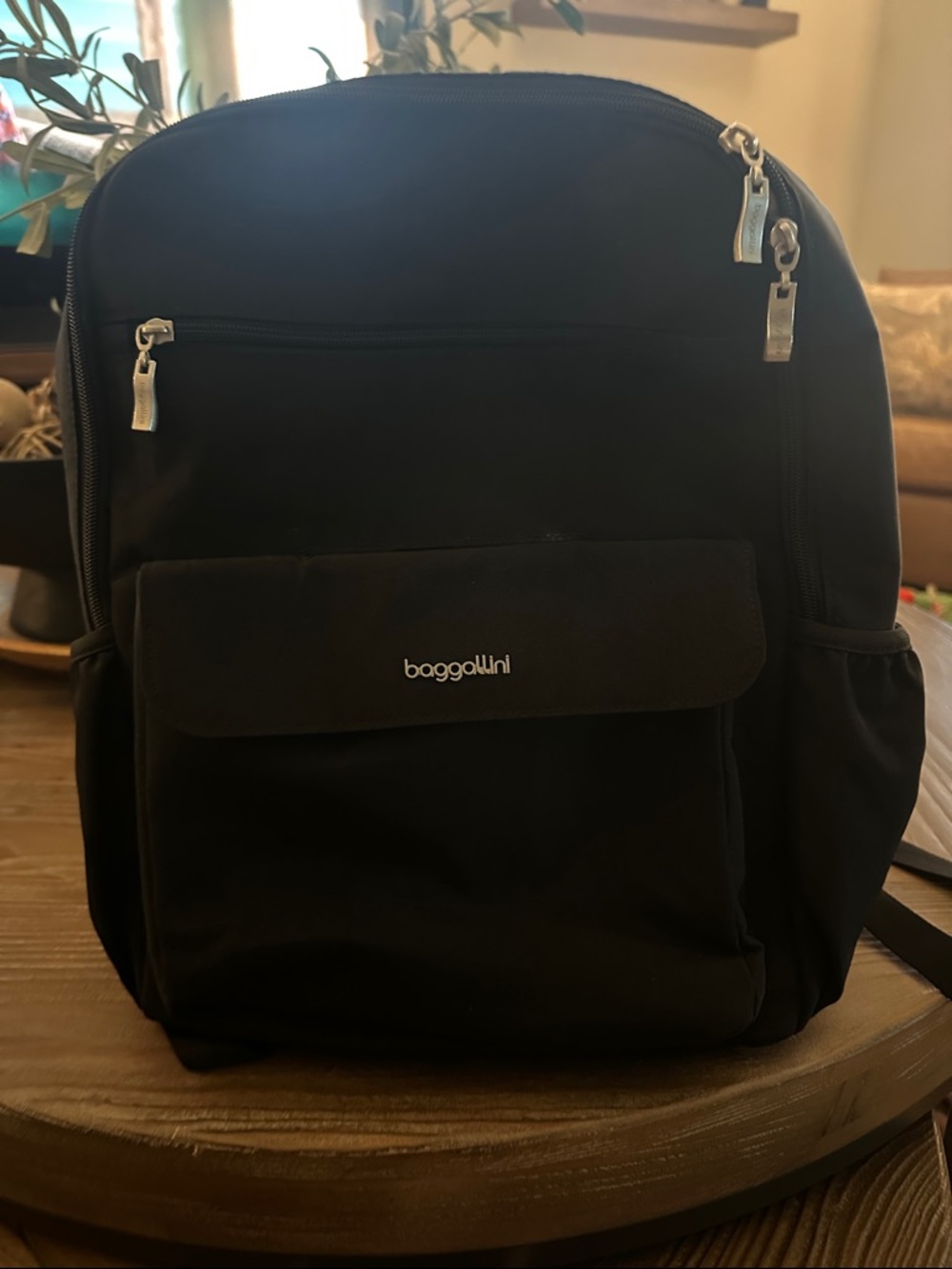 Baggallini Black Backpack with Front Flap Pocket
